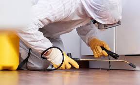 Best Real Estate Pest Inspections  in Hays, KS